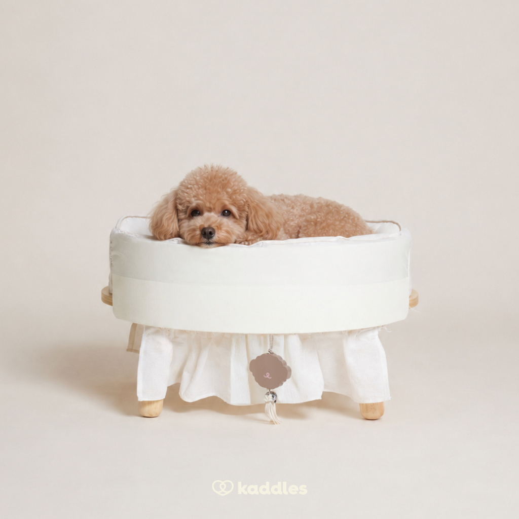Canopy Elevated Pet Bed (Low-rise)