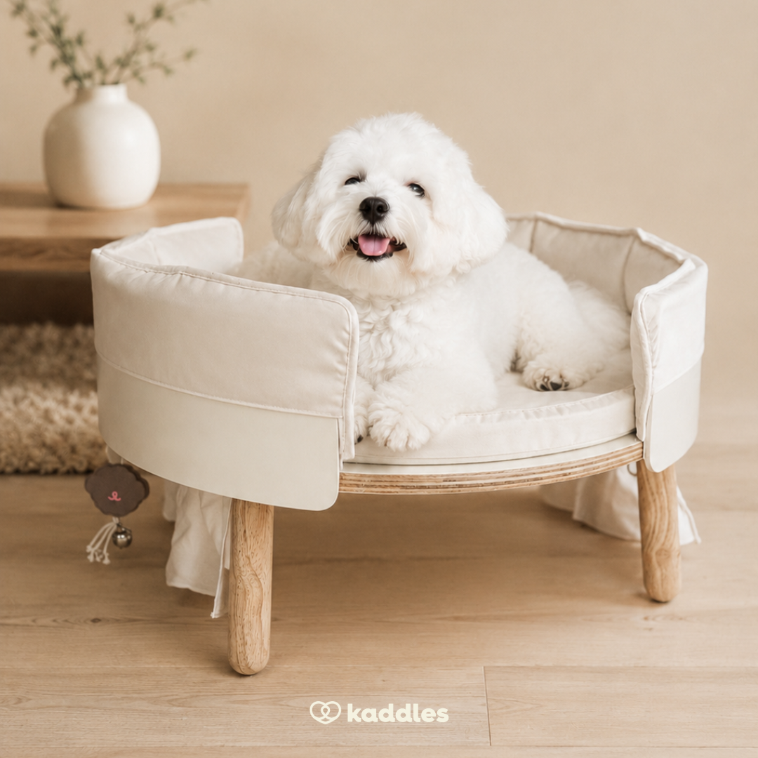 Canopy Elevated Pet Bed (Low-rise)