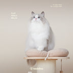 Oversized Scratching Post