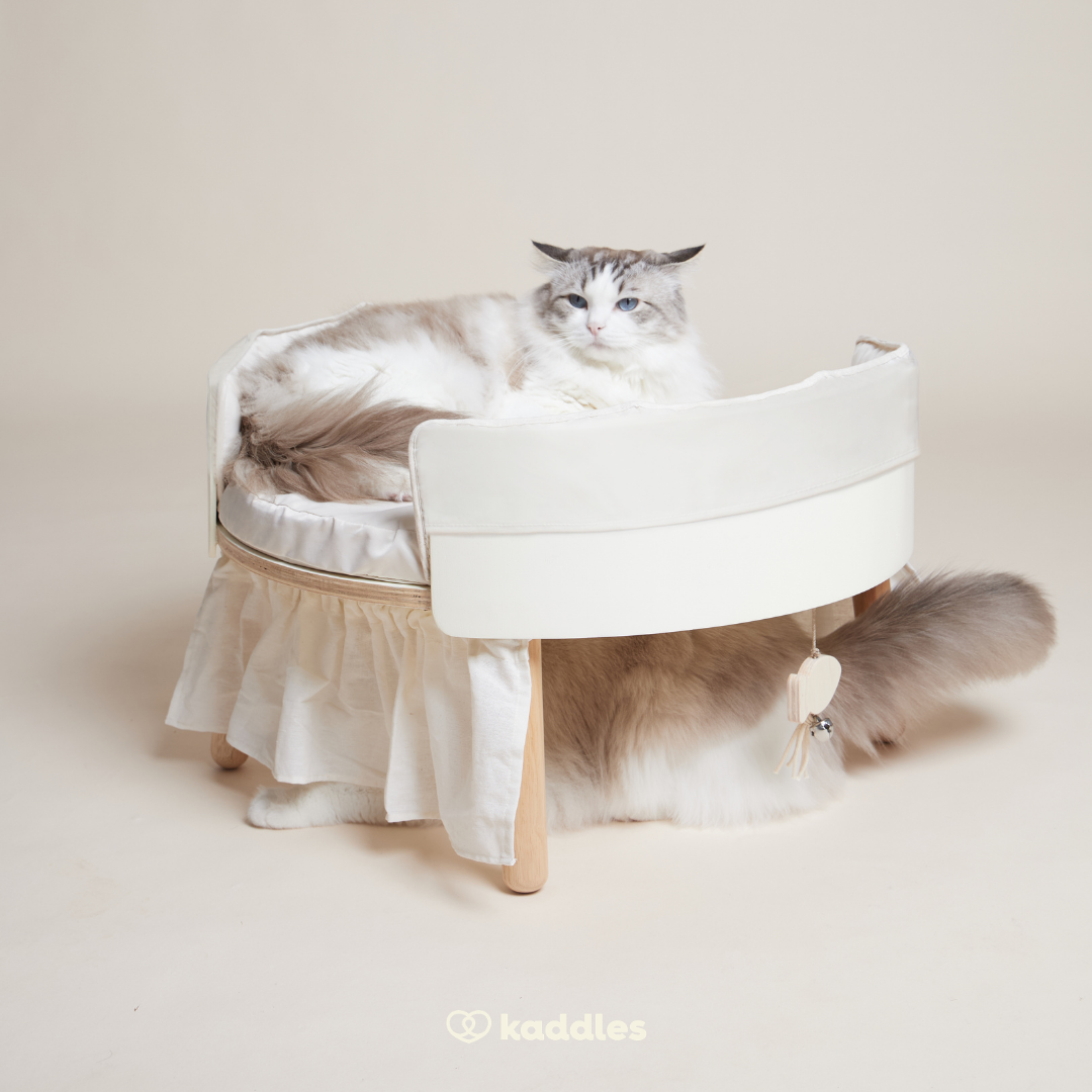 Canopy Elevated Bed with Hammock (For Cats)