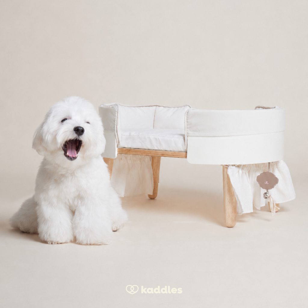 Canopy Elevated Pet Bed (Low-rise)