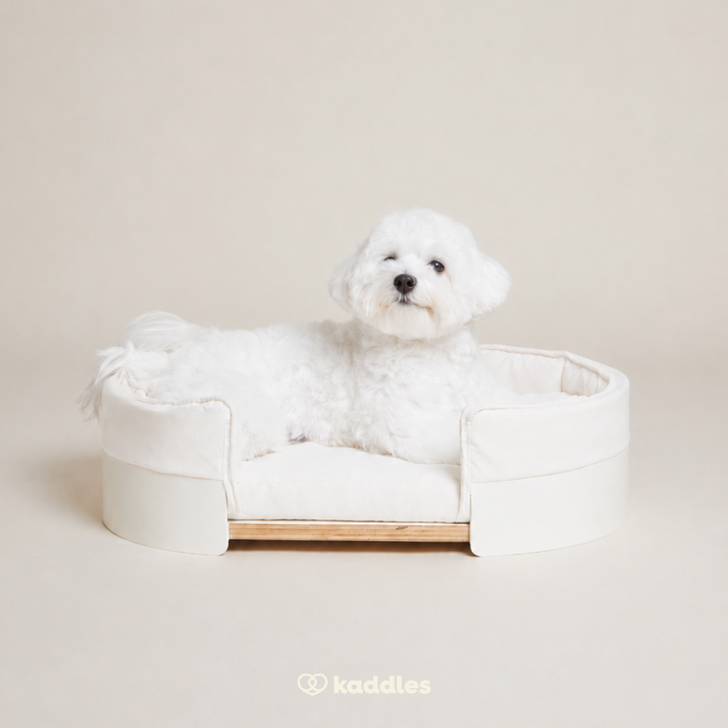 Canopy Elevated Pet Bed (Low-rise)