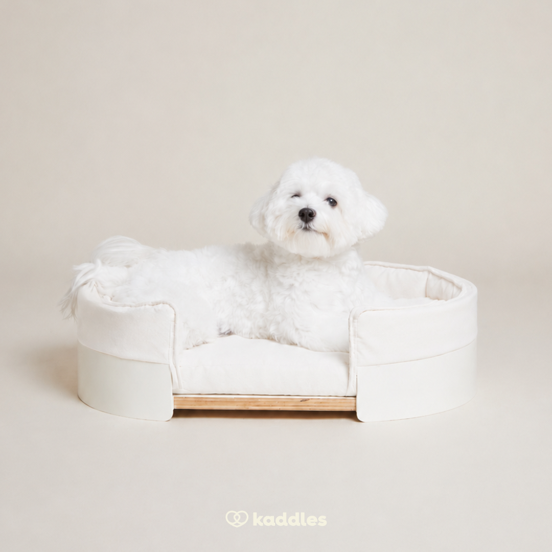 Canopy Elevated Pet Bed (Low-rise)