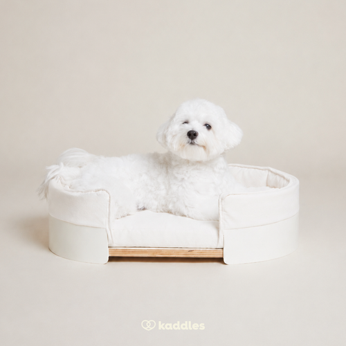 Canopy Elevated Pet Bed (Low-rise)