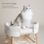 Canopy Elevated Bed with Hammock (For Cats)