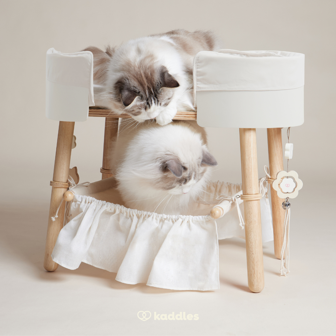 Canopy Elevated Bed with Hammock (For Cats)