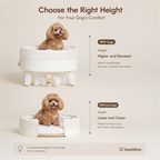 Canopy Elevated Pet Bed (Low-rise)